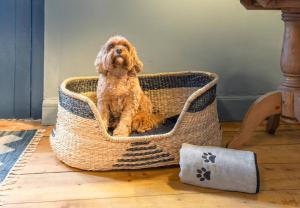 The Unique Cathedral Hideaway - 4hvězdičkové hotely ve městě Stirling