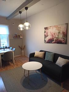 Gästis lägenhet Örkelljunga