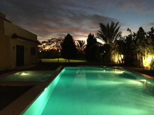 Guesthouse Near HBE Airport Pool