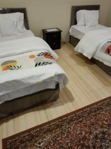 جناح فاخر غرفتين نوم وصالة تلفزيون