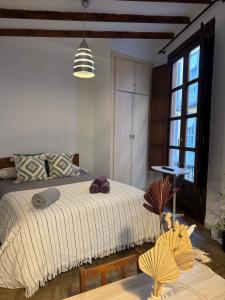 Cozy studio close to the Cathedral
