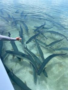 Hidden Treasure Vacation Home Bay Blue Suite 2