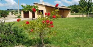 JesiGreen House