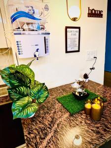 Amber-LuxuryStudio Apartment