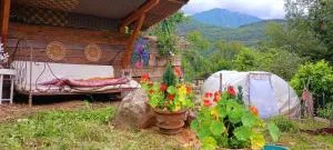 Bergeriedekakisse Mercantour - 拉博莱讷韦聚比