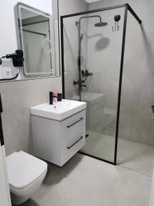 Tutu Studio Sinaia cu vedere panoramica Early Checkin