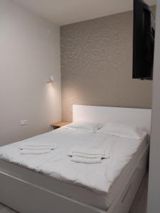 Double Room with Private Bathroom room in Hotel Avatar