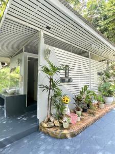 ปางสูงเฮาส์ green house