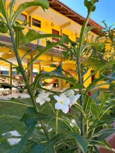 Pousada Cordel de Itaúnas