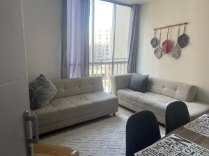 Lujoso apartamento