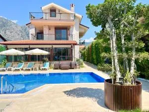 Centrally Located Very Large Villa W Pool Jakuz and Car Park - 戈西克