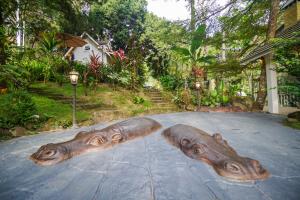 ปางสูงเฮาส์ pink house