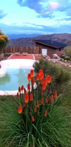 ArribadelValle - Casas de Altura