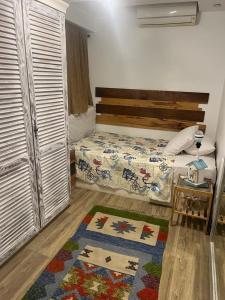 Luxurious rooftop apartment