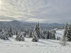 Panorama Stoykite Yana apartment - Stoykite