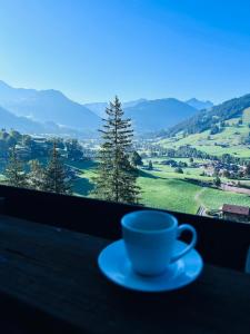 Enjoy Breathtaking View in Luxury Chalet Apartment