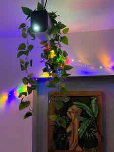 Appartement T3 - forêt & plage