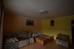 Pod Modrzewiem Mieszkania wakacyjne