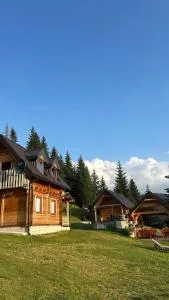 Čakorski konaci - Plav