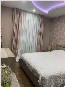 New design apartment