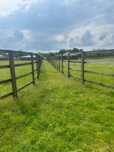 Forest holiday home with option to bring your horse