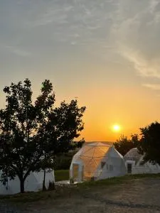 Transylvania WINE - Copăceni