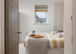 Jollys-Contemporary Beachfront Property, Pet Friendly with optional Hot Tub