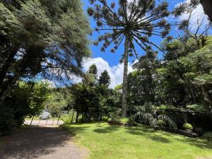 Casa da Araucaria nos Alpes de São Francisco