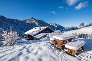 Apartments Trebe