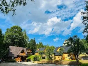 Niedźwiedziówka - 亚沃尔基