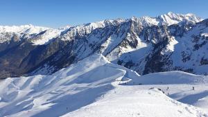 Appartement plein centre