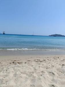 Appartements Appt neuf 2-4 pers avec loggia - Piscine chauffee - Bord de mer - Corse du Sud- Bonifacio : photos des chambres