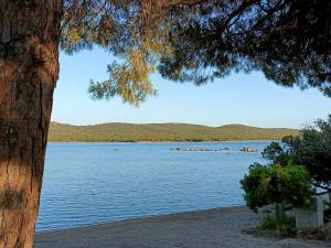 Appartements Appt neuf 2-4 pers avec loggia - Piscine chauffee - Bord de mer - Corse du Sud- Bonifacio : photos des chambres
