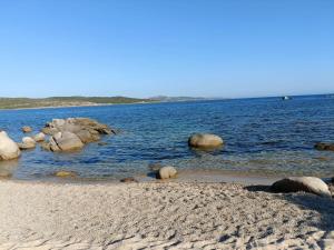 Appartements Appt neuf 2-4 pers avec loggia - Piscine chauffee - Bord de mer - Corse du Sud- Bonifacio : photos des chambres