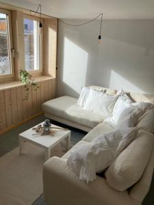 Chalet Wasserfall 3-Zimmerferienwohnung möbliert