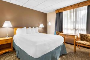 Two-Bedroom Queen Suite with Queen Beds - Second Floor/Non-Smoking room in Best Western Lee's Motor Inn