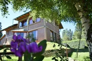 Cabañas Los Crsantemos - 迪娜·瓦皮