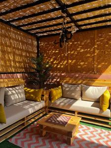 Welcome to Chya House!