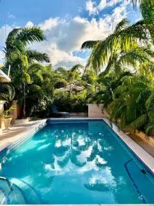 Marriott Drax Hall w private pool, Ocho Rios - Steer Town
