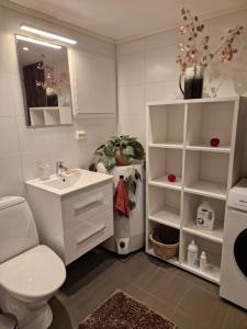 New&cozy apartment near Vrådal Panorama Ski Resort, Golf and Beach