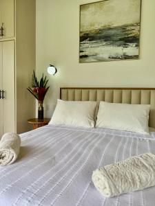 Villa Naomi Luxury house 3 min walk beach and town