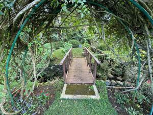 Boquete Luxury - Walk to Town