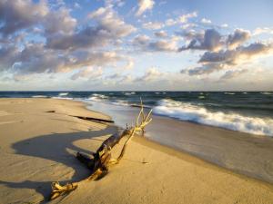 Cozy 3-person apartment, Pobierowo