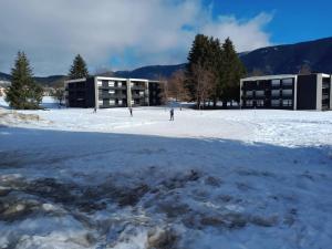 Appartement cosy 5 pers, balcon, proche pistes ski - FR-1-737-32