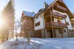 Bolfenk Snowflake app 