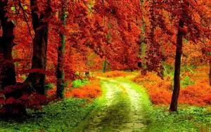 le van - Làng Thành