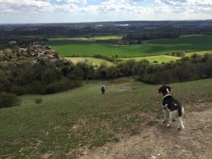 North Downs Countryside Hideaway