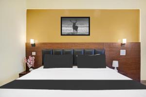 Super Hotel O Grey Inn