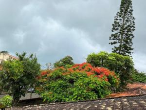 Lindo Apartamento de Praia - 150m do mar