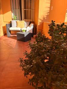 Riviera Del Sol Apartment